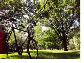 Photo d'une bicyclette dans un parc